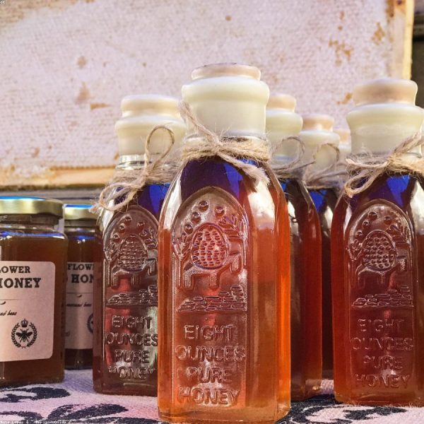 فانيليا التميّز — Vanilla Excellence